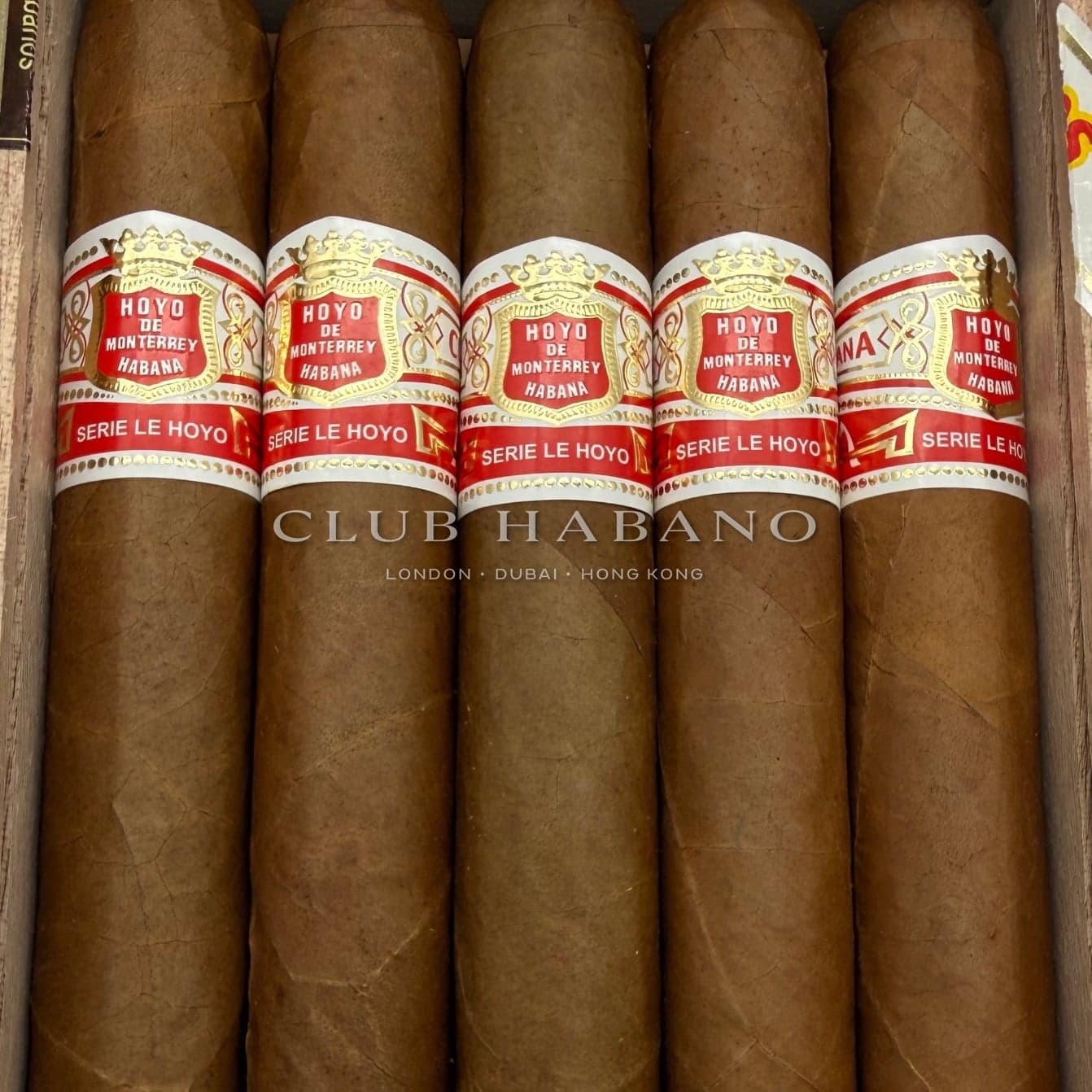 Hoyo de Monterrey Le Hoyo de San Luis 2025