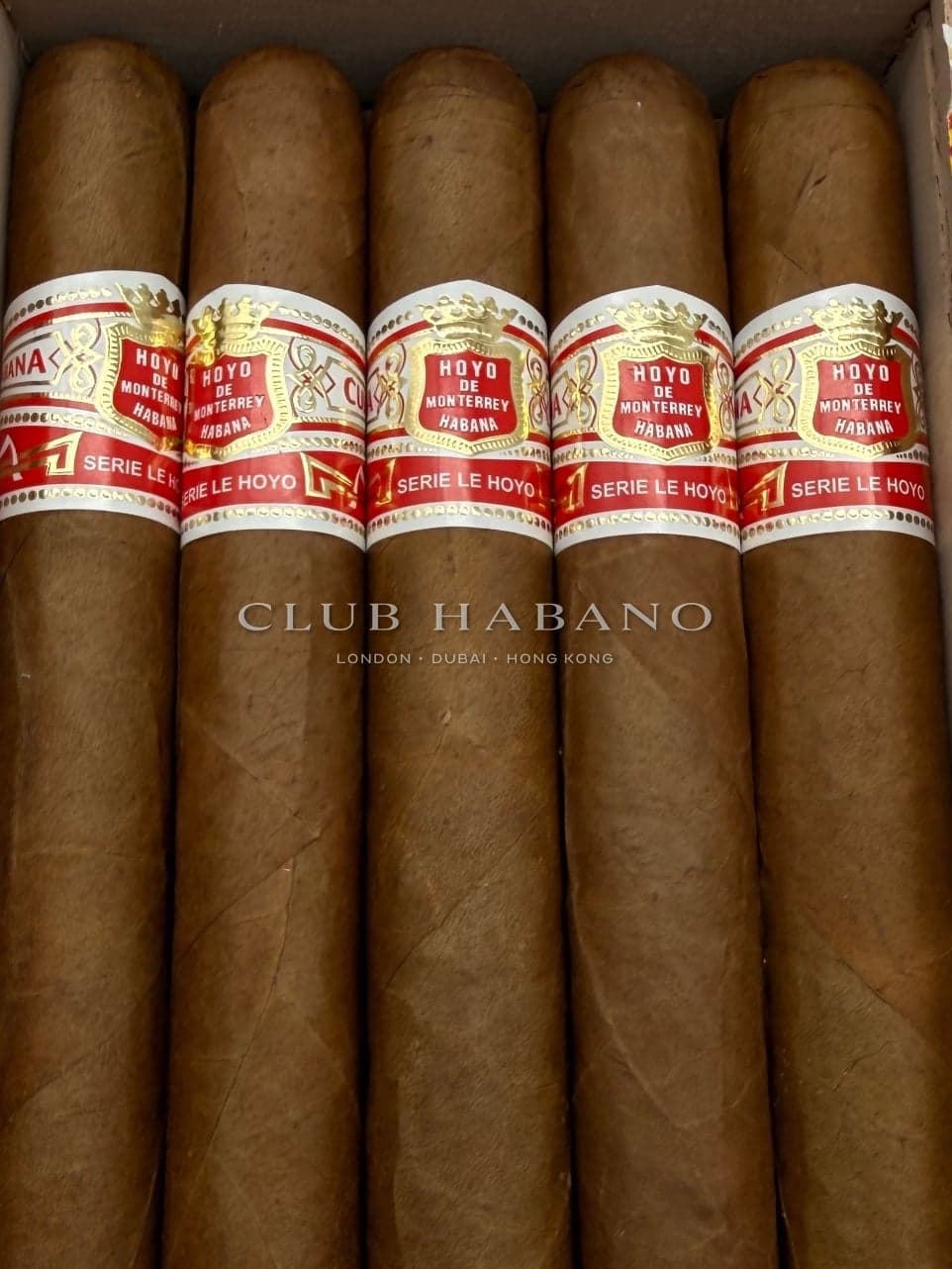 Hoyo de Monterrey Le Hoyo de San Luis 2025