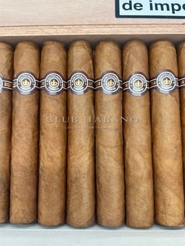 Montecristo Edmundo 2025